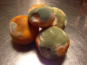 Rådne-appelsiner-300x225