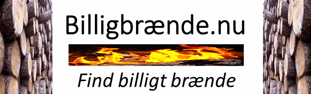 Billig-brænde.nu-logo-1024x309