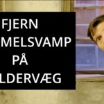 Thumbnail Fjern skimmel fra væg 3 jpg